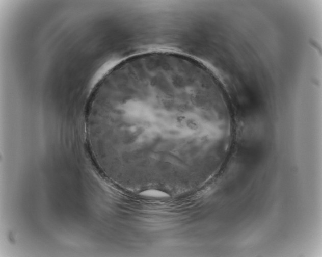 X0000096421271200801241309