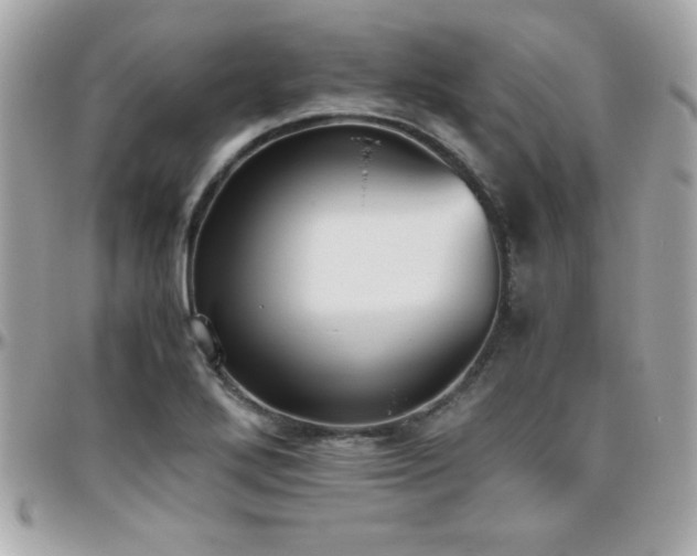 X0000096421272200801241309