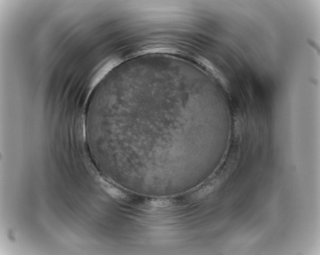 X0000096421274200801241309
