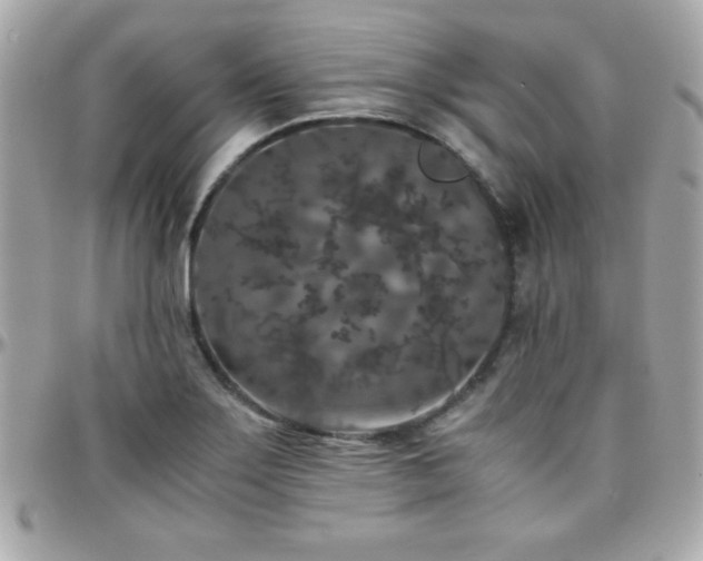 X0000096421275200801241309