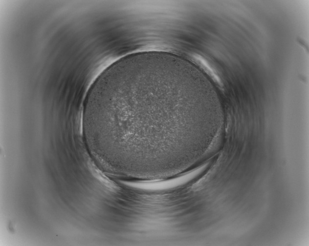 X0000096421276200801241309