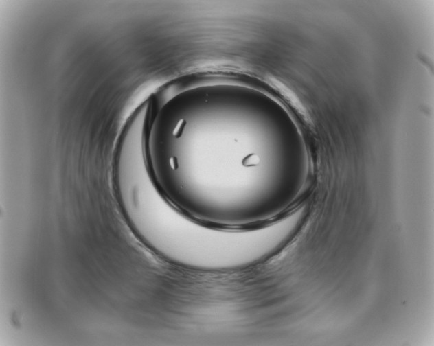 X0000096421277200801241309