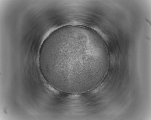 X0000096421278200801241309