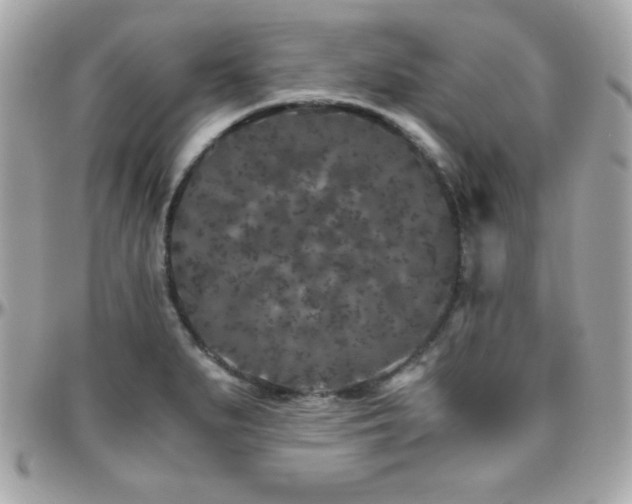 X0000096421279200801241309