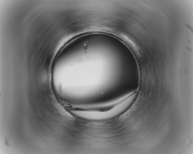 X0000096421280200801241309