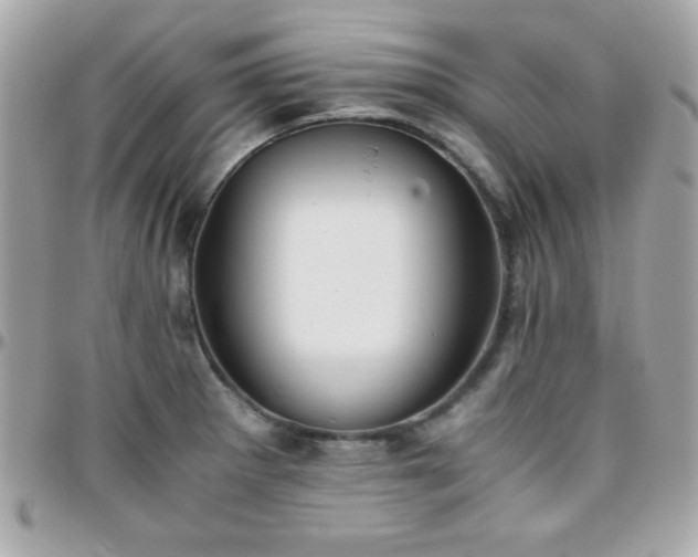 X0000096421281200801241309