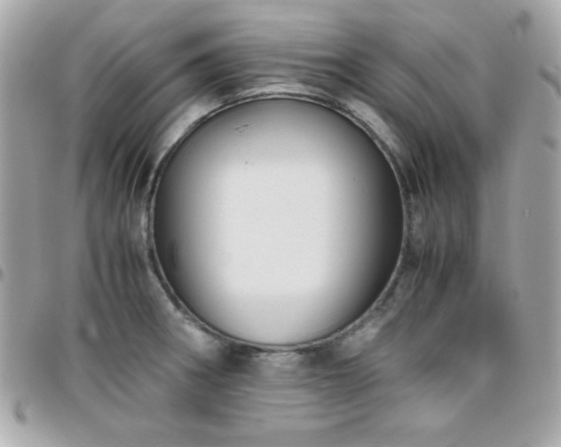 X0000096421282200801241309