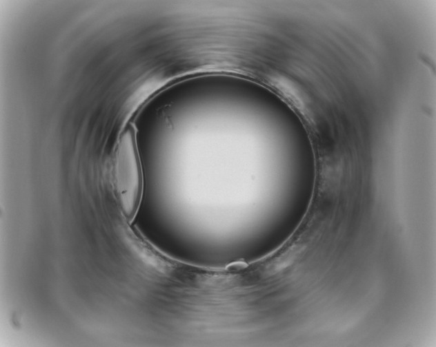 X0000096421284200801241309