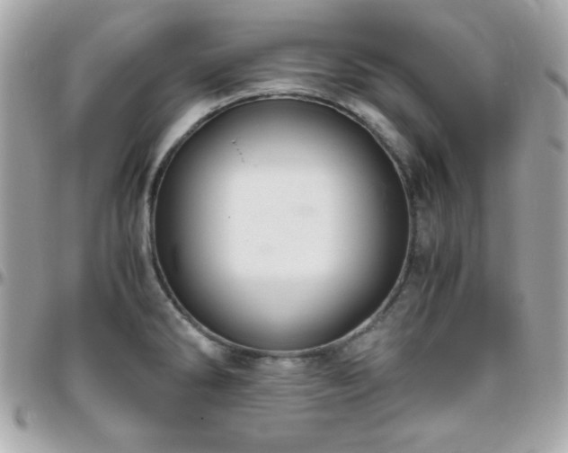 X0000096421286200801241309