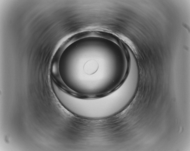 X0000096421288200801241309