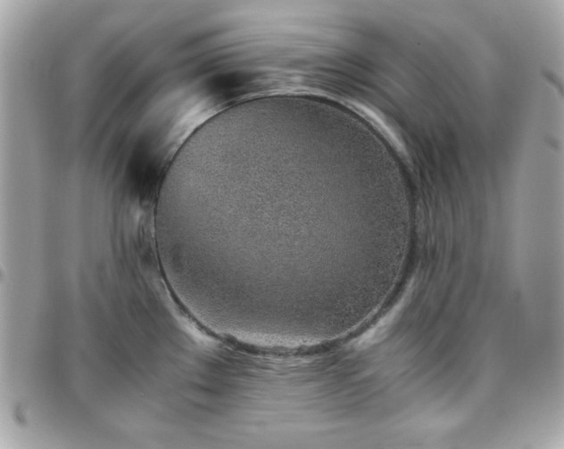 X0000096421289200801241309