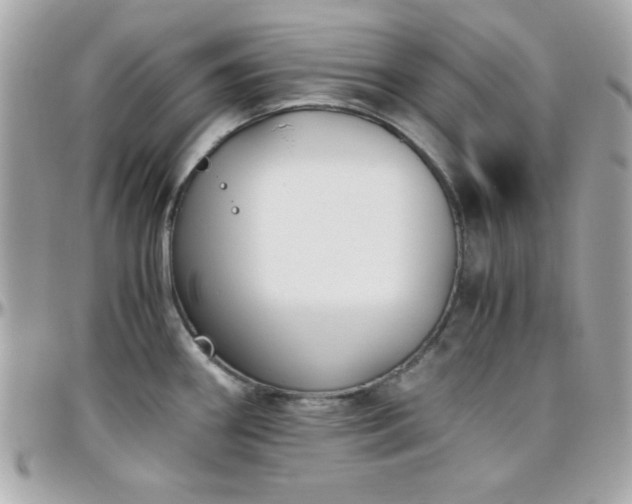 X0000096421290200801241309