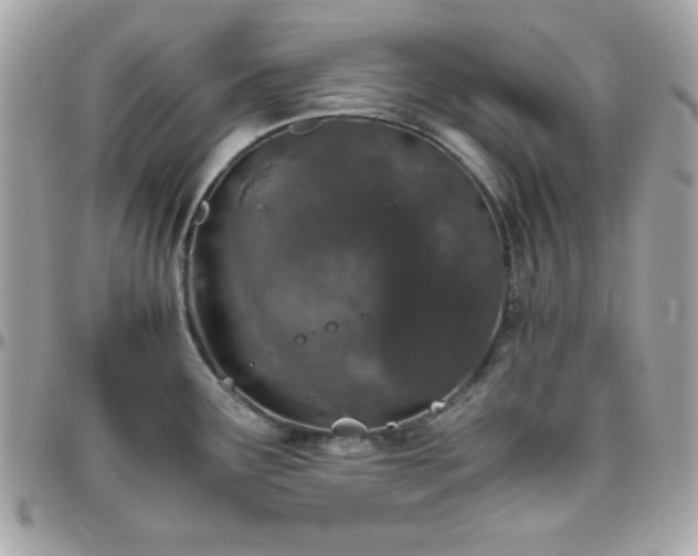 X0000096421291200801241309