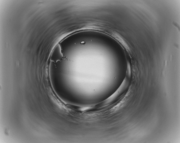 X0000096421292200801241309