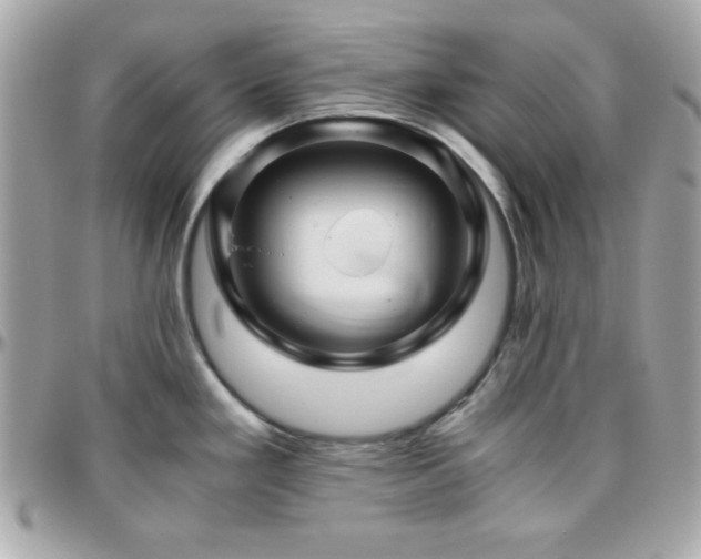 X0000096421293200801241309