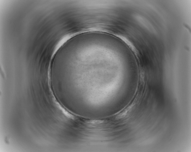 X0000096421294200801241309