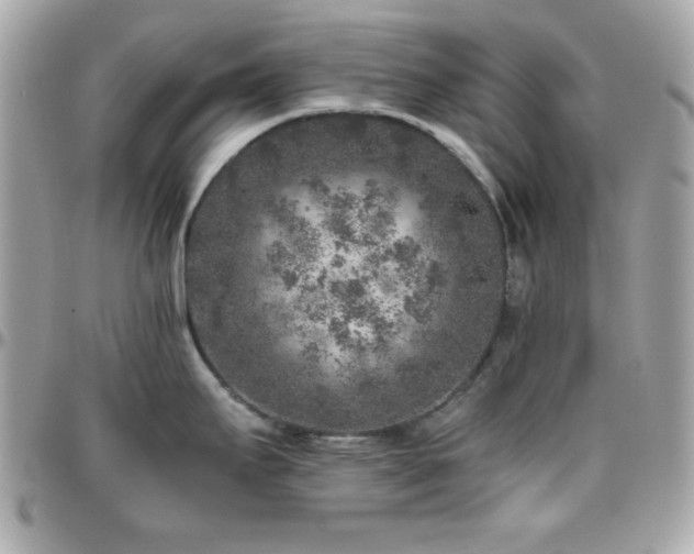 X0000096421295200801241309