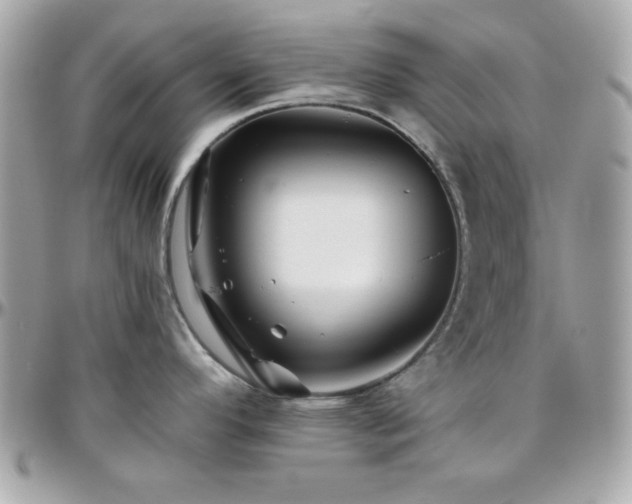 X0000096421296200801241309