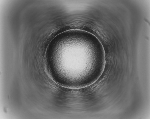 X0000096421297200801241308
