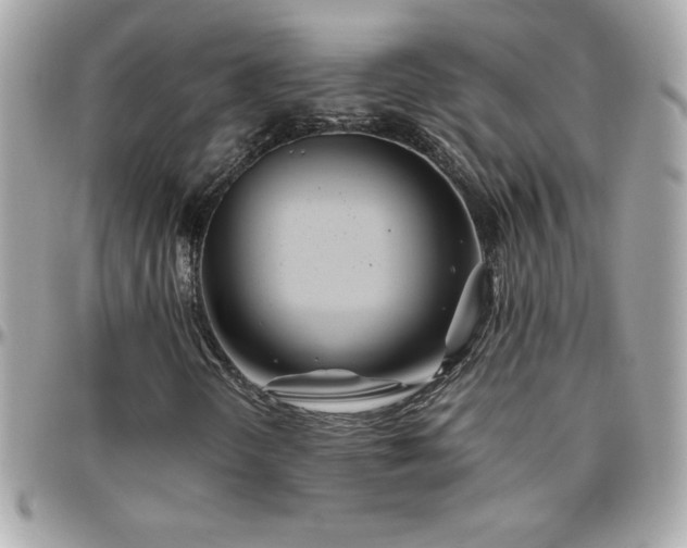 X0000096421298200801241308