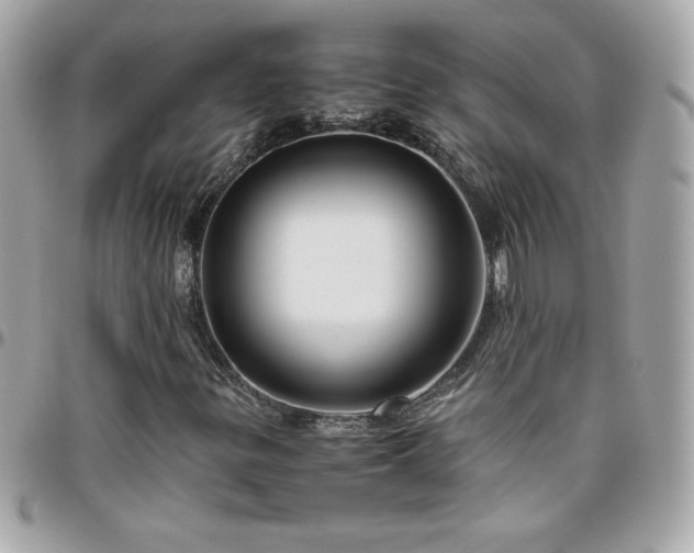 X0000096421299200801241308