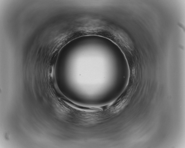 X0000096421300200801241308