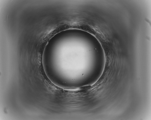 X0000096421301200801241308