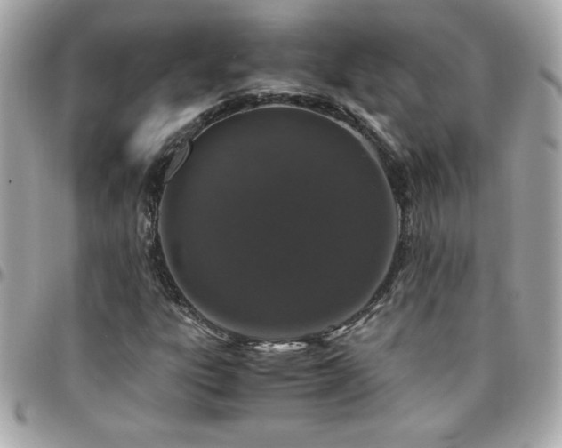 X0000096421303200801241308