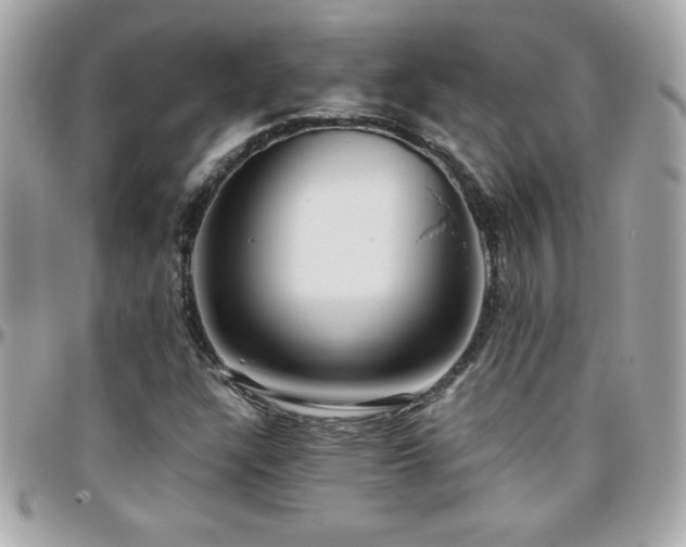 X0000096421304200801241308