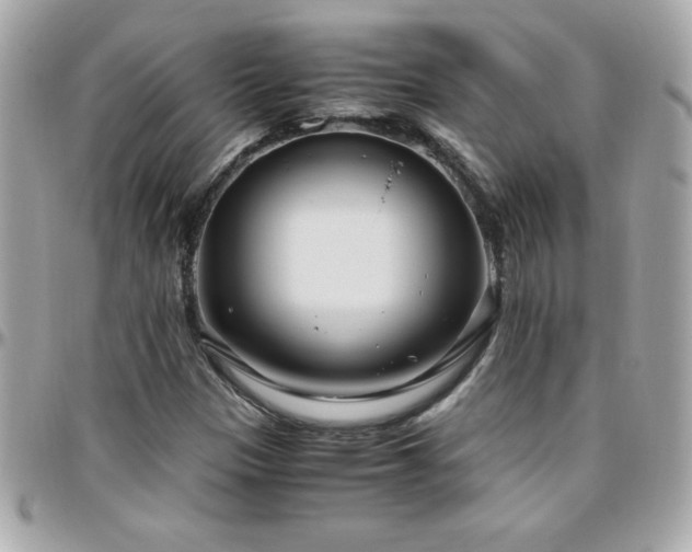 X0000096421305200801241308