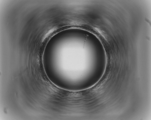 X0000096421307200801241308