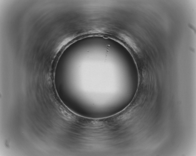 X0000096421308200801241308