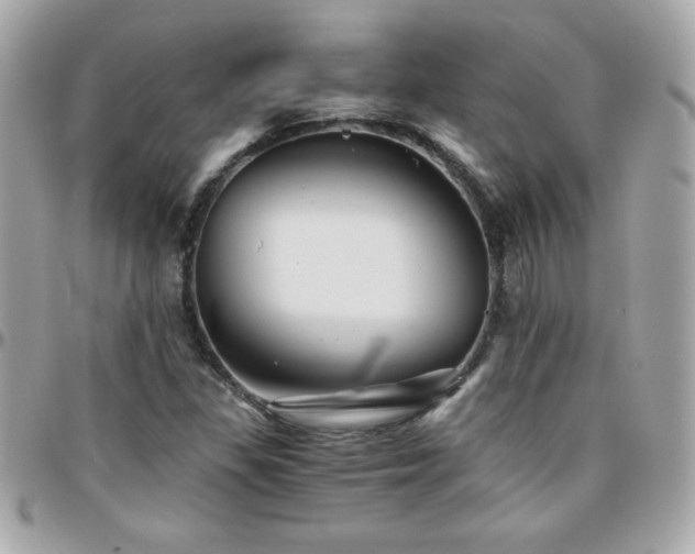 X0000096421309200801241308