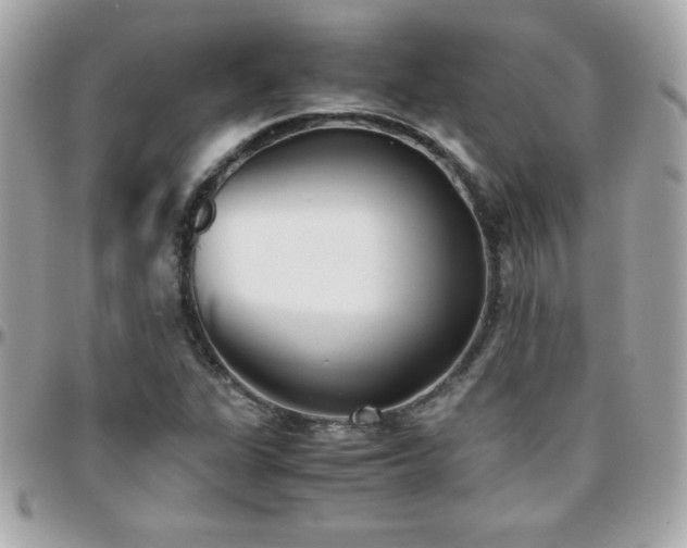 X0000096421311200801241308