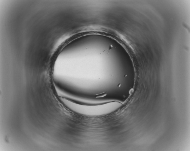 X0000096421312200801241308