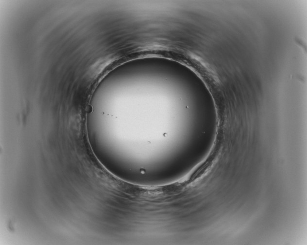 X0000096421313200801241308