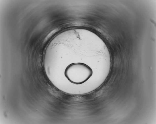X0000096421314200801241308