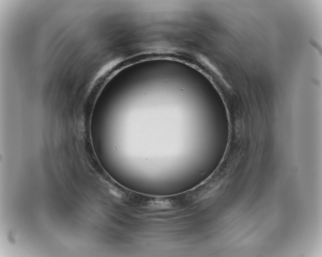 X0000096421315200801241308