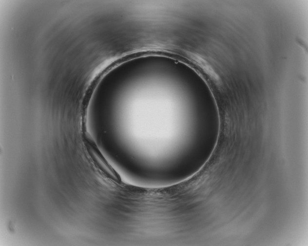 X0000096421316200801241308