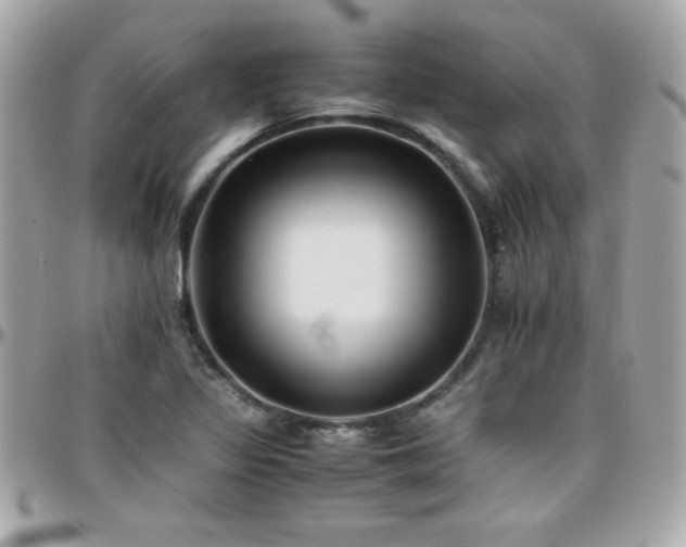 X0000096421317200801241308