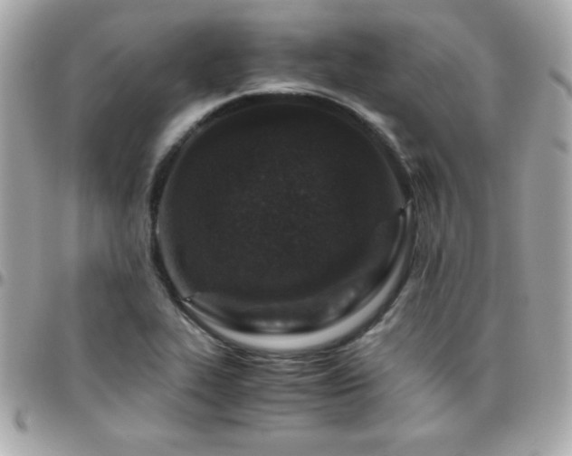 X0000096421319200801241308