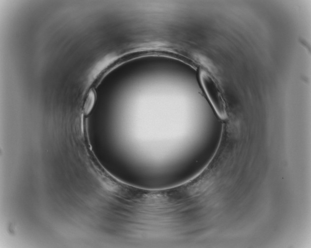 X0000096421320200801241308