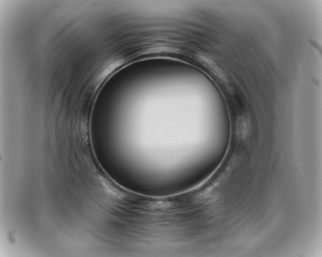 X0000096421321200801241308