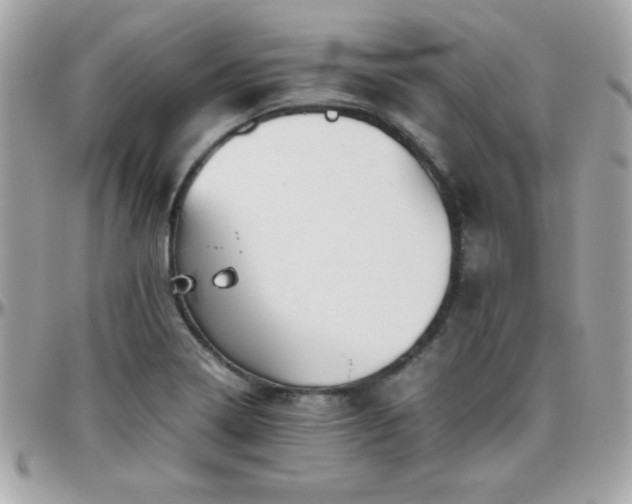 X0000096421322200801241308