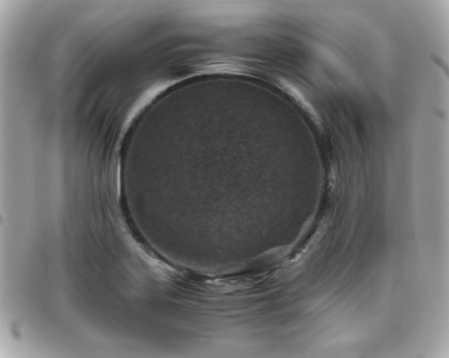 X0000096421323200801241308