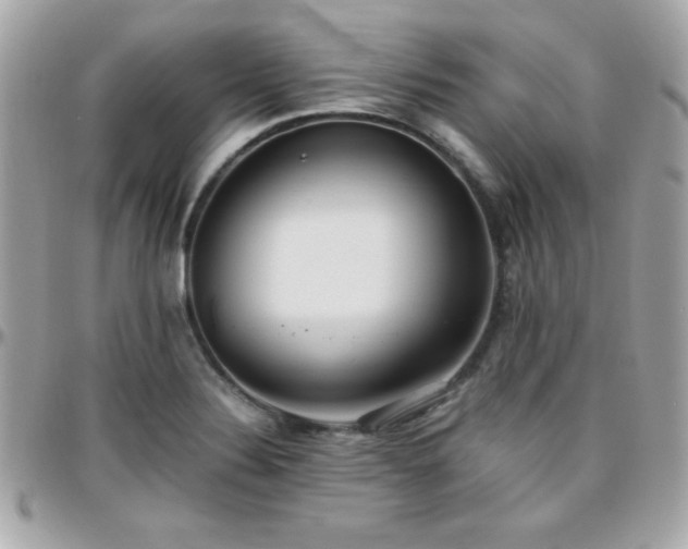 X0000096421324200801241308