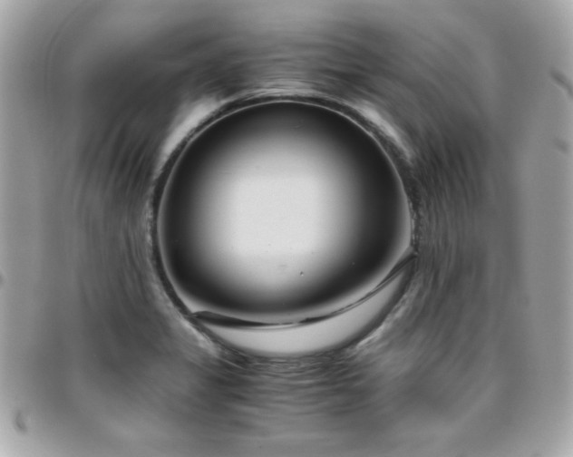 X0000096421325200801241308