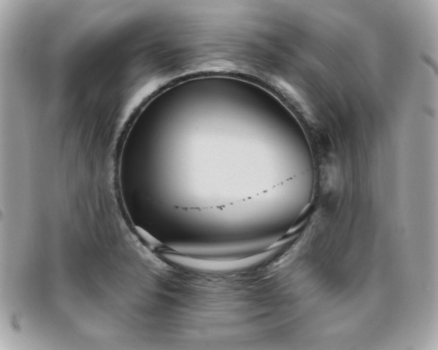 X0000096421326200801241309