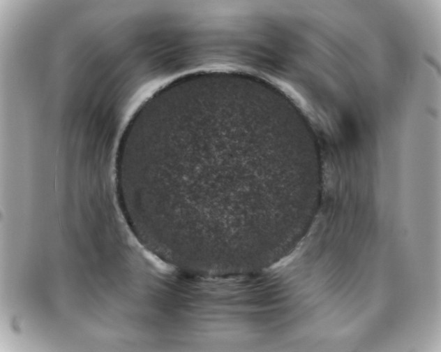 X0000096421327200801241309
