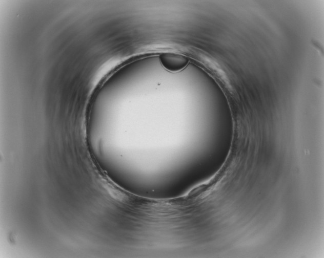 X0000096421328200801241309